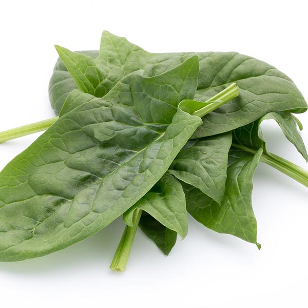 Espinaca 1 kg