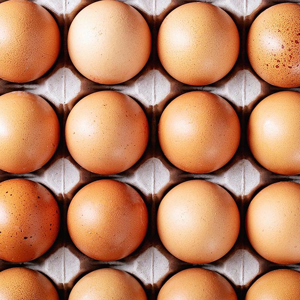 Huevo color grande 1 un