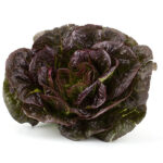 Lechuga Española morada x 1 un.