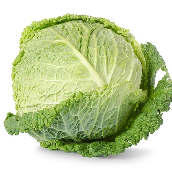 Repollo crespo