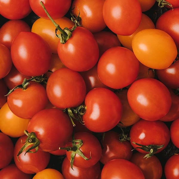 Tomate Cherry 1 kg